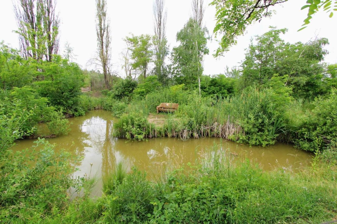 Фазенда "Змерега" Aknaszlatina Kültér fotó